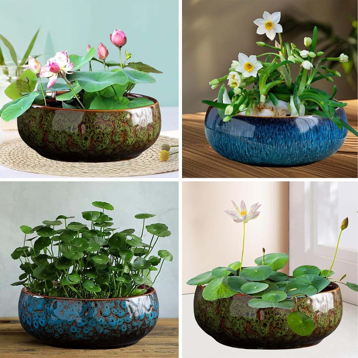 Amazon.com : Lotus Bowl Planter,Retro Ceramic Lotus Flower Bowl